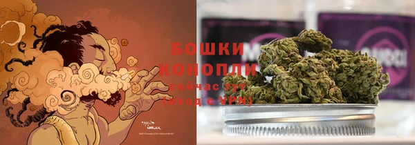 шишки Абинск