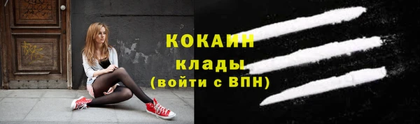 шишки Абинск