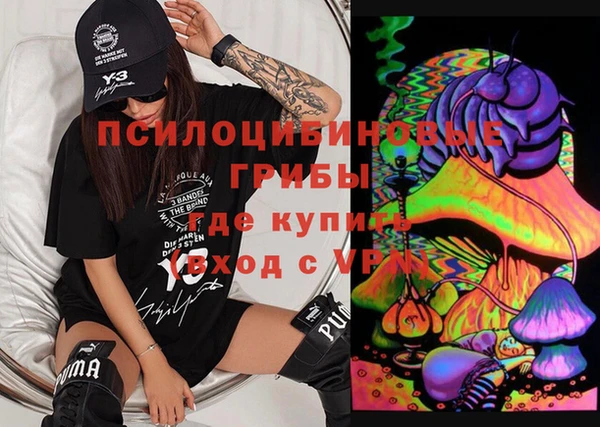 шишки Абинск