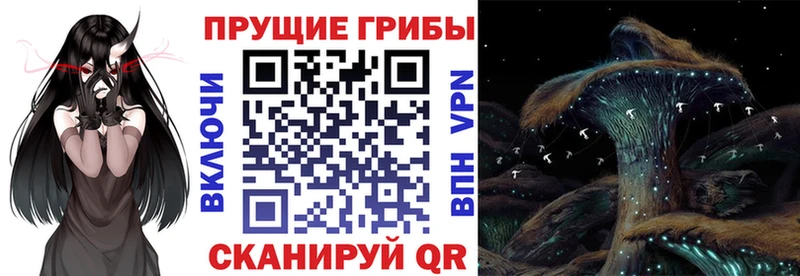 Псилоцибиновые грибы ЛСД  Вилючинск 